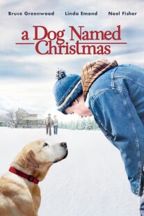 دانلود فیلم A Dog Named Christmas 2009389298-1812334994