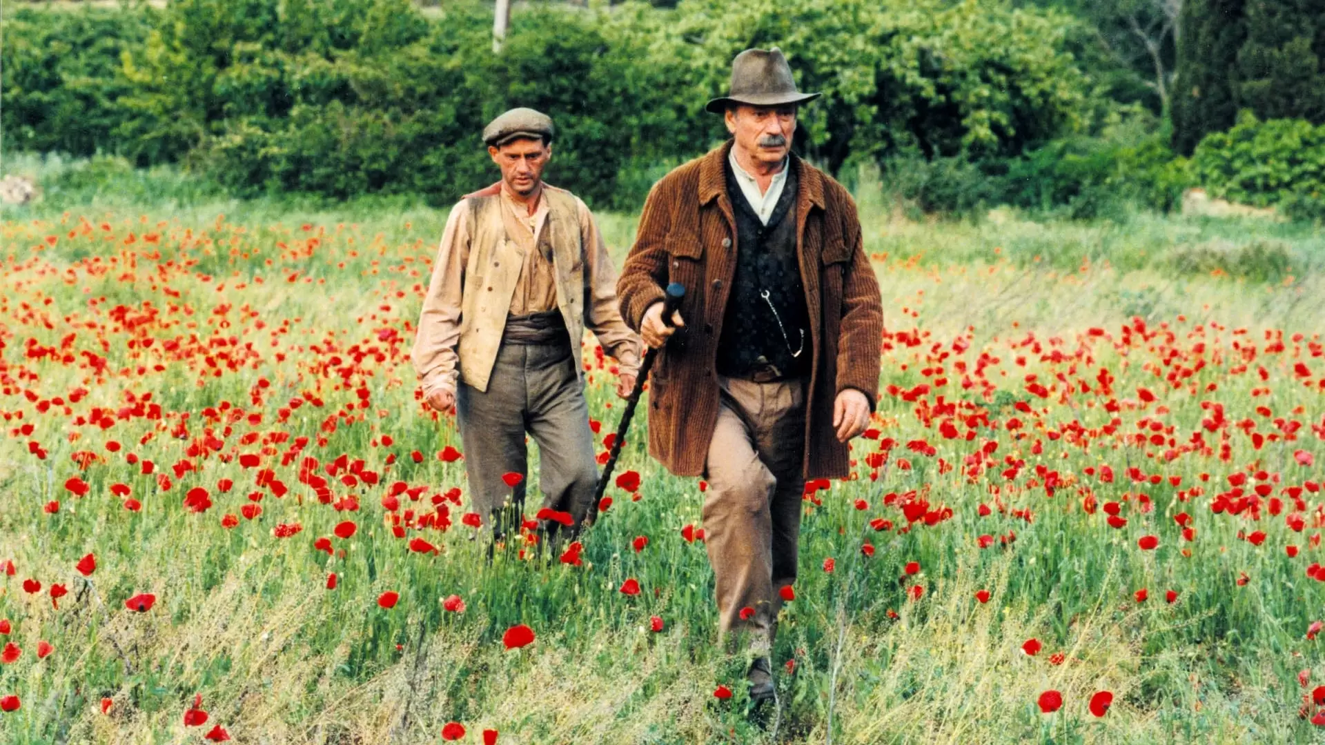 دانلود فیلم Jean de Florette 1986