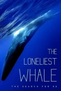 دانلود فیلم The Loneliest Whale: The Search for 52 2021403098-1849917445