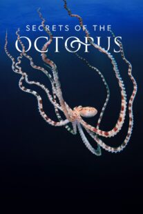 دانلود سریال Secrets of the Octopus401286-2048390974