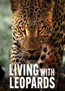 دانلود مستند Living with Leopards 2024400477-2001775958