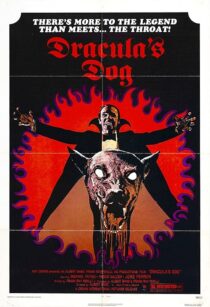 دانلود فیلم Dracula’s Dog 1977407625-65898383