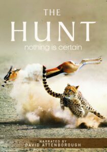 دانلود سریال The Hunt407007-1724990853