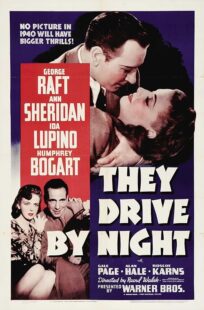 دانلود فیلم They Drive by Night 1940411221-503811282