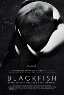 دانلود فیلم Blackfish 2013412328-153893943