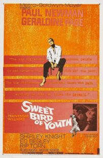 دانلود فیلم Sweet Bird of Youth 1962415738-767043411