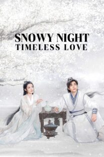 دانلود سریال Snowy Night Timeless Love417168-534122864