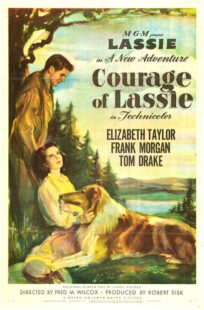 دانلود فیلم Courage of Lassie 1946417427-1999816528