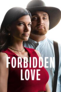 دانلود سریال Forbidden Love416709-1375351939