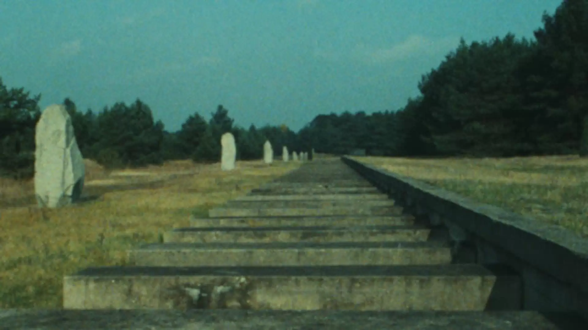 دانلود فیلم Shoah 1985